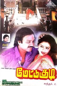 Metukudi 1996 on netflix