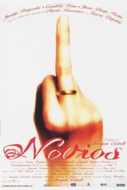 Novios 1999 on netflix