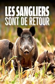 Wild Boar: The Comeback 2020 on netflix