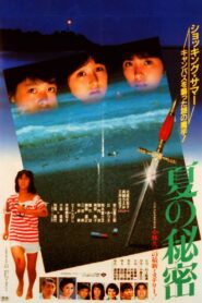 Summer Secrets 1982 on netflix