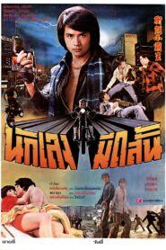 Golden Fists of a Duo 1981 on netflix
