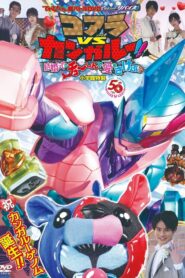 Kamen Rider Revice: Koala VS Kangaroo!! Crying Out Love Smack in the Center of a Wedding?! 2021 on netflix