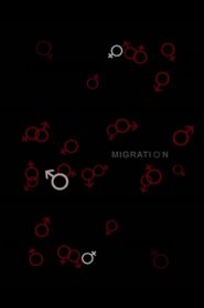 Migration 2008 on netflix