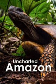 Uncharted Amazon 2016 on netflix