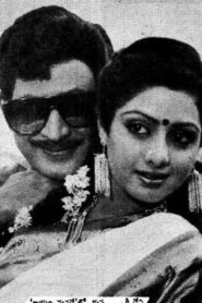 Jayam Manade 1986 on netflix