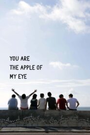 You Are the Apple of My Eye 2011 on netflix