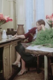 Stilleben 1982 on netflix