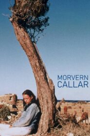 Morvern Callar 2002 on netflix
