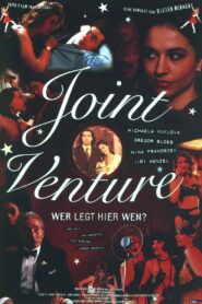 Joint Venture 1995 on netflix