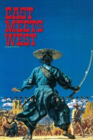 East Meets West 1995 on netflix