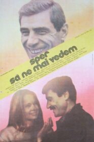 I Hope to See You Again 1985 on netflix