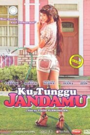 Ku Tunggu Jandamu 2008 on netflix