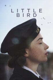 Little Bird 2017 on netflix