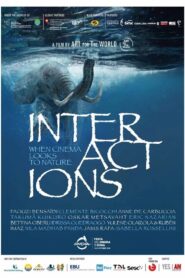 Interactions – When Cinema Looks to Nature 2022 on netflix