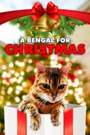 A Bengal for Christmas 2023 on netflix