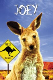 Joey 1997 on netflix