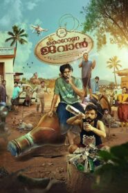 Corona Dhavan 2023 on netflix