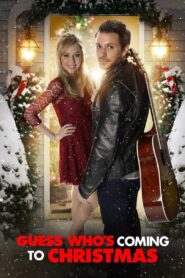 Guess Who’s Coming to Christmas 2013 on netflix