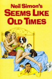 Seems Like Old Times 1980 on netflix