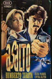 Asalto 1991 on netflix