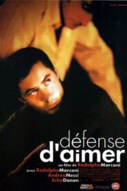 Love Forbidden 2002 on netflix