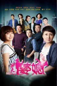 功夫婆媳 2015 on netflix