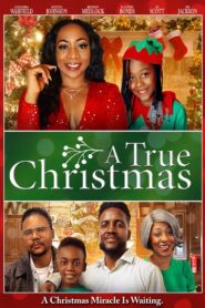 A True Christmas 2022 on netflix