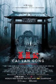 Cai Lan Gong 2015 on netflix