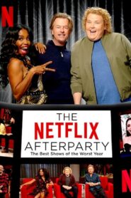 The Netflix Afterparty: The Best Shows of the Worst Year 2020 on netflix