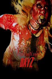 Valentine DayZ 2018 on netflix