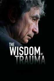 The Wisdom of Trauma 2021 on netflix
