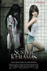 Evil Nurse 2009 on netflix