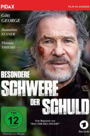 Besondere Schwere der Schuld 2014 on netflix
