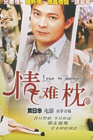 Love in Danger 1994 on netflix