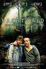 Night Forest 2021 on netflix
