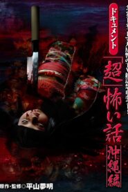 Document Super Scary Stories: Okinawa 2005 on netflix