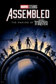 Marvel Studios Assembled: The Making of Black Panther: Wakanda Forever 2023 on netflix
