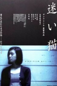 Apartment Wife: Lost Cat 1998 on netflix