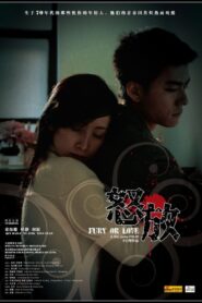 Fury or Love 2007 on netflix