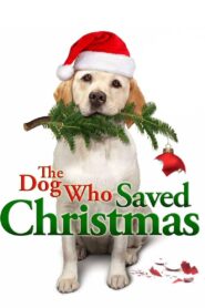 The Dog Who Saved Christmas 2009 on netflix