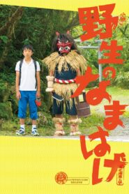 A Wild Namahage 2015 on netflix