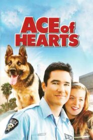 Ace of Hearts 2008 on netflix