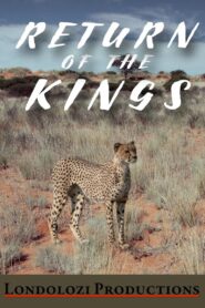 The Return of the Kings 1999 on netflix