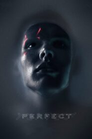 Perfect 2019 on netflix