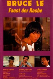 Bruce’s Fists Of Vengeance 1980 on netflix