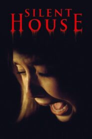 Silent House 2011 on netflix