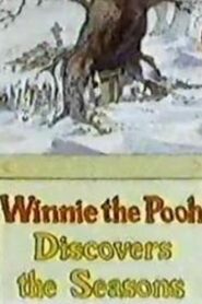 Winnie the Pooh Discovers the Seasons 1981 on netflix