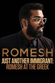 Just Another Immigrant: Romesh at the Greek 2018 on netflix