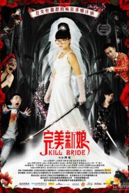 Perfect Bride 2009 on netflix