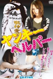 Yankee Helper 2011 on netflix